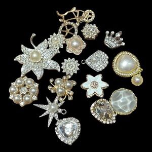 16 Sparkly Jibbits for Crocs Shoes